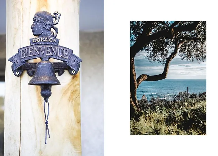 Villa Golfe Favone Corsica 10p Pool Sea View Sari-Solenzara