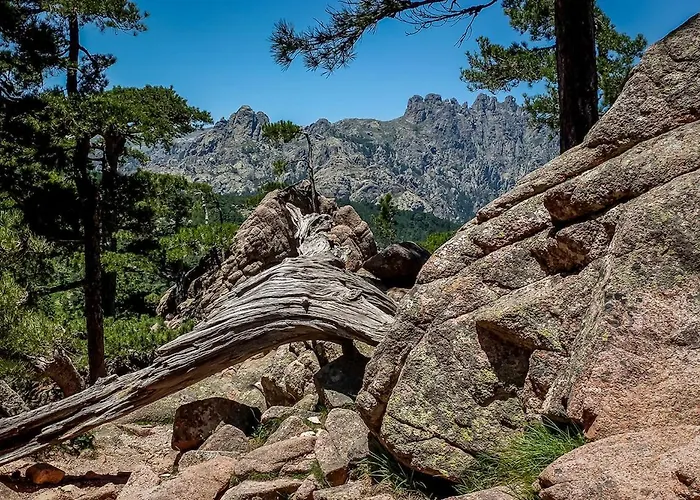 Villa Golfe Favone Corsica 10p Pool Sea View Sari-Solenzara